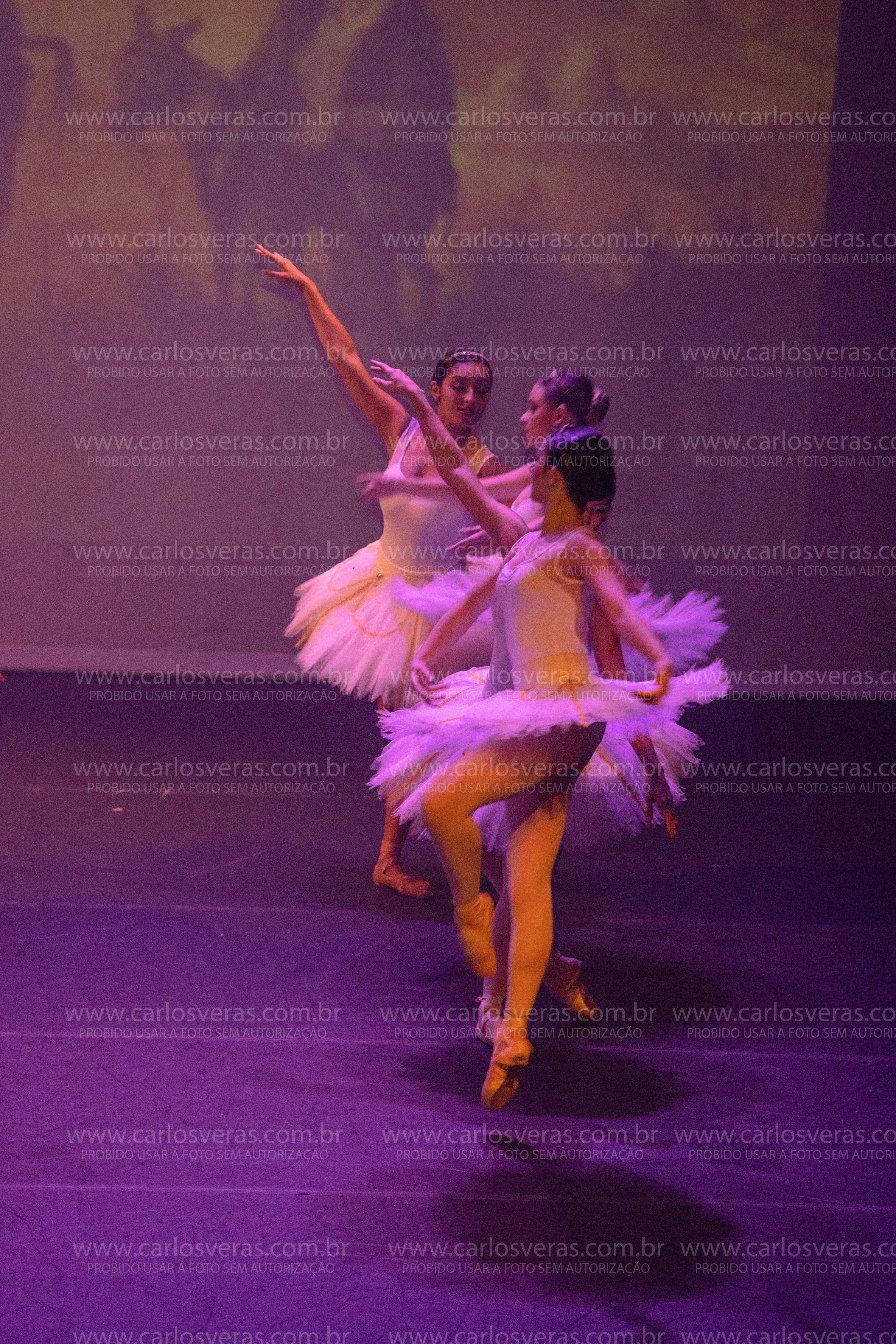 100_4007.jpg